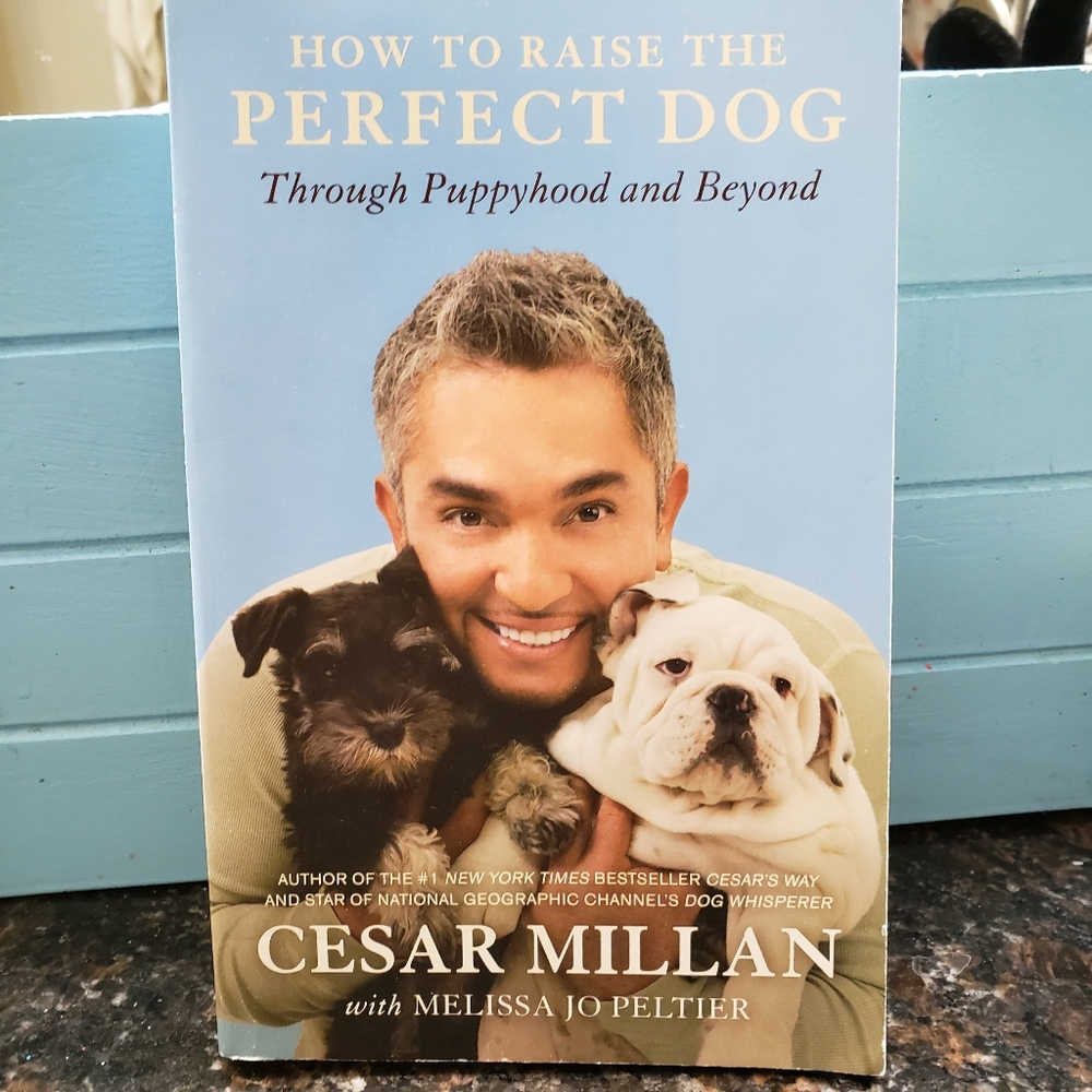 How to raise the perfect dog paperback book.